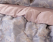 Постельное белье Вилюта Tencel Т-07 евро 0