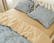 Постельное белье Вилюта Tencel Т-02 евро 6