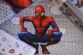Дитяча постільна білизна ТАС Disney ранфорс 160х220 см Spiderman Cloudy з простирадлом на резинці 100 х 200 см 0