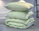 Одеяло зимнее ArCloud Bamboo 170х205 в сумке + 2 подушки ArCloud Bamboo с кантом 50х70 в сумке + постельное белье LARA бязь двуспальное модель на выбор 1