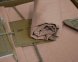 Турецкое постельное белье из вареного хлопка Limasso Stonewashed Ranforse 200 х 220 см Cameo Brown 4