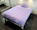 Ковдра зимова ArCloud Floral Lavander 140*205 у сумці + подушка з кантом ArCloud Floral Lavander 50*70 у сумці + постільна білизна LARA бязь полуторна модель на вибір 2