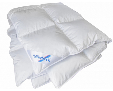 Одеяло зимнее пуховое Billerbeck Магнолия кассетное К-2 евро 200х220