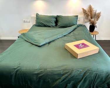 Постельное белье LARA сатин-страйп LUX green d13183е160 с простынью на резинке 160х200х25 евро