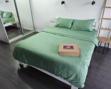 Постельное белье LARA сатин-страйп LUX sage d13233е180 с простынью на резинке 180х200х25 евро