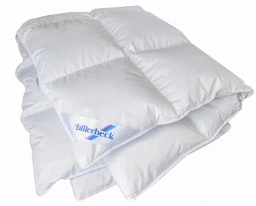 Одеяло зимнее пуховое Billerbeck Магнолия кассетное К-0 евро 200х220