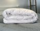 Ковдра зимова ArCloud Classic щільність 350 двоспальна 170х205