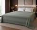 Простынь махровая Parisa Home Pike 150х200 плотность 400 г/м2 мята